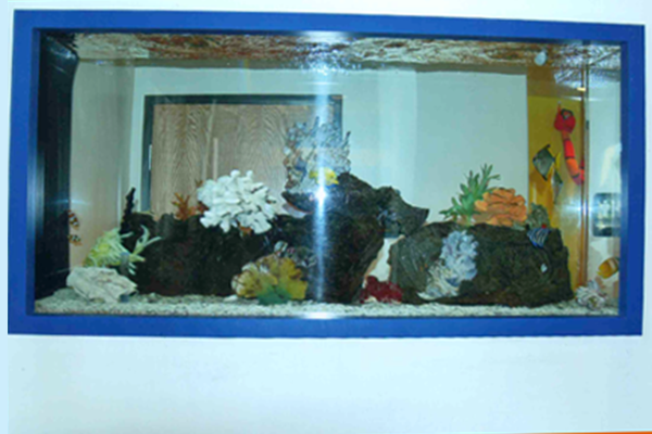 Aquarium st Arizona Pediatric Dentistry and Orthodontics